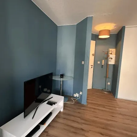 Apartment Cosy Rent Neudorf Menagerie Tv - Wifi
