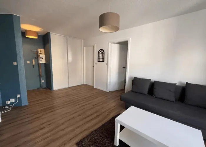 Apartment Cosy Rent Neudorf Menagerie Tv - Wifi Strasbourg